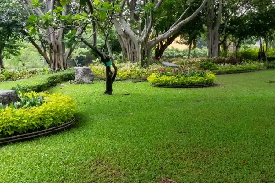 Superior Landscape Maintenance Gresham, OR